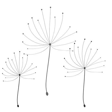 Dandelion in abstract style on white background. Vector floral background. Dandelion vector. Botany background.のイラスト素材
