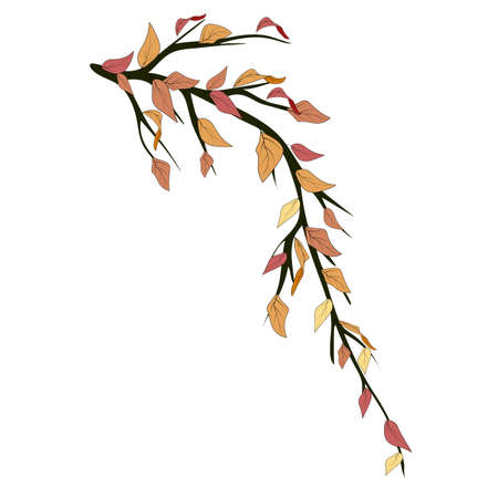 Sketch branch with autumn leaves for celebration decoration design. Colorful vector illustration. Autumn tree vector. Leaf plant botanical garden floral foliage.のイラスト素材