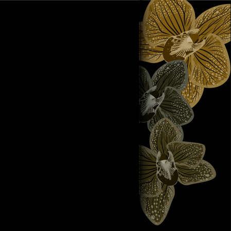 Abstract purple orhids illustration on black background. Realistic orchid for print design. Vector design illustration. Black dark background. Nature backdropのイラスト素材