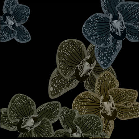 Abstract purple orhids illustration on black background. Realistic orchid for print design. Vector design illustration. Black dark background. Nature backdropのイラスト素材