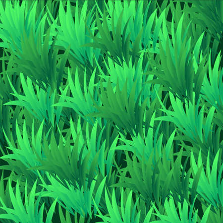 Fresh green grass. Green grass background texture. Floral pattern. Summer color. Rural landscape. Nature backdrop. Nature landscape. Summer color.のイラスト素材