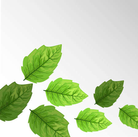 Vector exotic summer background. Leaf texture pattern background. Eco design vector illustration. Forest foliage. Green leaves pattern . Floral illustration.のイラスト素材