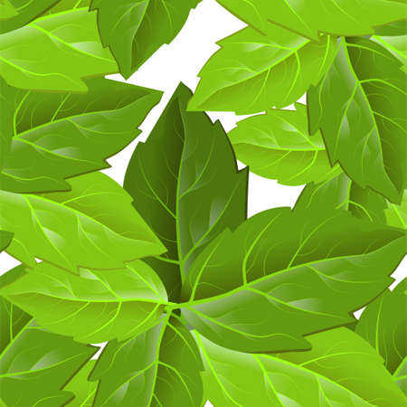 Forest foliage. Print design. Beautiful abstract pattern with green leaves on white background. Green leaves for fabric design. Vector floral pattern.のイラスト素材