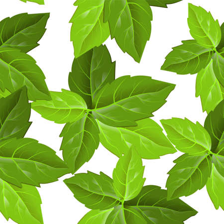 Forest foliage. Print design. Beautiful abstract pattern with green leaves on white background. Green leaves for fabric design. Vector floral pattern.のイラスト素材