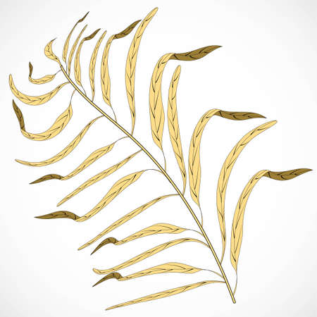 Floral design element. Foliage leaves background pattern. Vector set tropical leaves. Isolated illustration vector. Summer tropical leaf. Watercolor collection.のイラスト素材