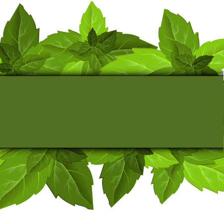 Forest foliage. Leaf texture. Green leaves frame template. Beautiful abstract design template with green leaves on background for decorative design.のイラスト素材