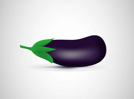 Beautiful closeup of purple eggplant on gray background for decoration design. Vector design. Fresh food. Natural food.のイラスト素材