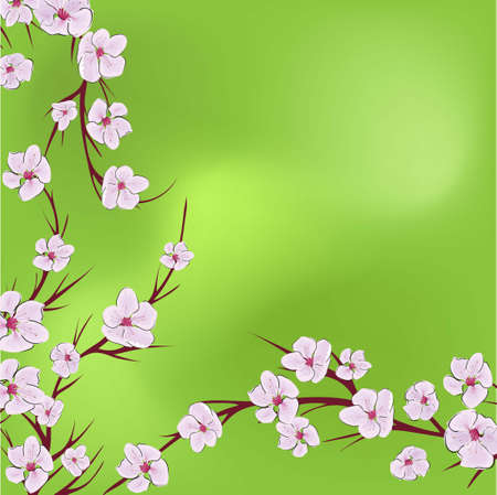 The sakura flowers, great design for any purposes. Nature seamless pattern. Japanese illustration with pink the sakura flowers on green background.のイラスト素材