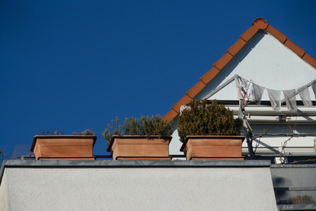 The dream of living in the countryside. Owning your own home is still the biggest dream. A roof...