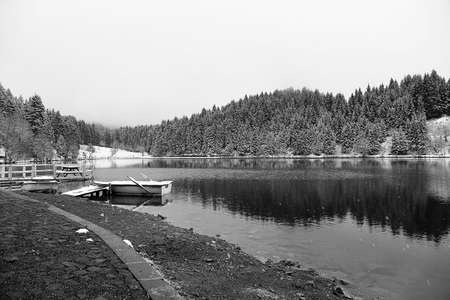 A forest landscape in Artvin, ÅavÅat, Black Lakeの写真素材