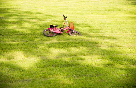 Pink bike falling on green grass in the park.の写真素材