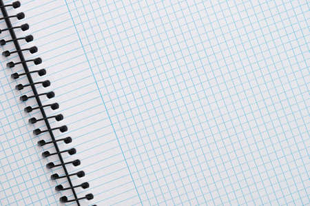 detail of a blue checkered notepad with black worm