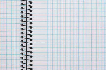 detail of a blue checkered notepad with black worm