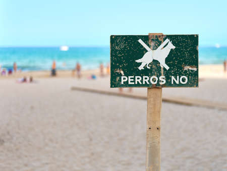 detail of a no dogs allowed on the beach sign on a poleの写真素材