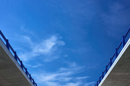detail of a broccoli plantation with drip irrigationの写真素材