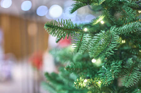 detail of some branches of a christmas tree with lights