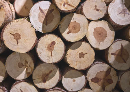 detail of cut logs in a fireplace