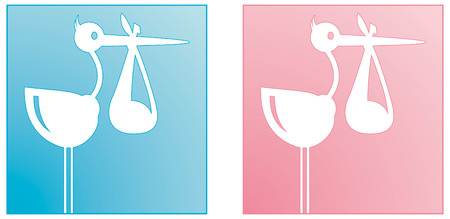 Stork carrying baby boy and girlのイラスト素材