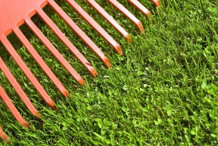 Red garden rake detail on green grass background の写真素材