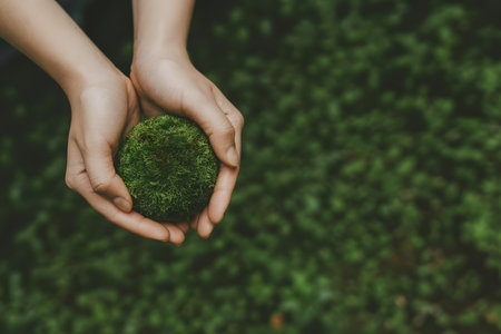 Hands cradling a round green moss ball with textured surface, set against a softly blurred dark green background. A serene, nature-inspired composition.の素材
