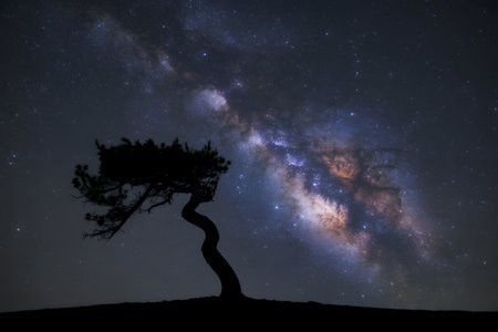 Dramatic silhouette of a twisted pine tree against a vibrant Milky Way, showcasing rich colors of cosmic dust amid a star-filled night sky.の素材