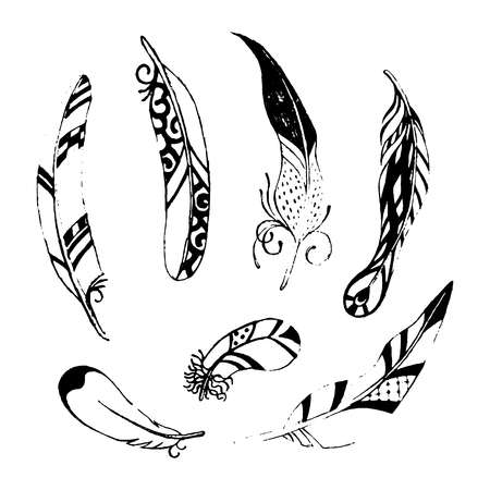 Different Vector Feathers Setのイラスト素材