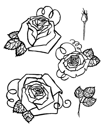 Watercolor Hand-painted Set of Vector rosesのイラスト素材