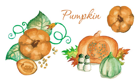 Autumn watercolor Illustration-vector set of autumn elementsのイラスト素材