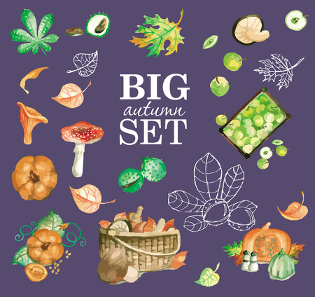 Autumn, leaves, pumpkin etc with wonderfull watercolor Illustrationのイラスト素材
