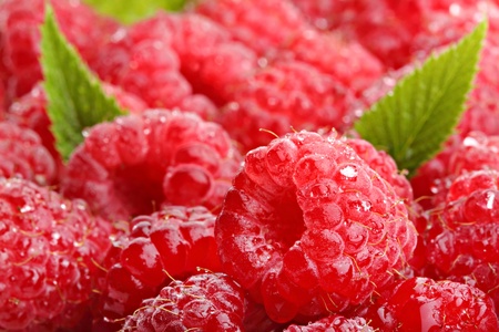 raspberrys with leafs.の写真素材