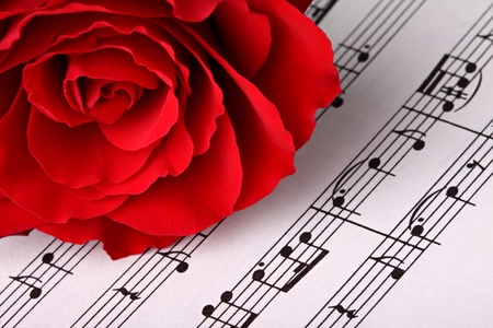 red rose on music sheet.の写真素材