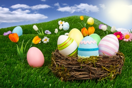 easter nest with eggs and blossoms