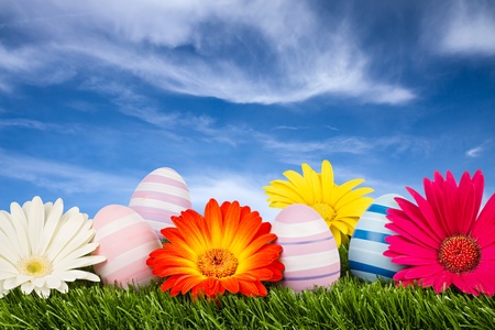 colorful easter eggs with blossoms on grassの写真素材