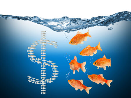 fish speculation concept with dollar symbolの写真素材