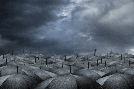 many black umbrellas in rainy weatherの写真素材