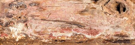 wide panorama rustic old brown wood texture background backdropの写真素材