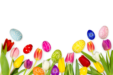 colorful easter background tulips eggs nest basket isolated on whiteの写真素材