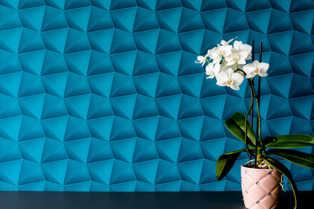 A flat with blue walls decorated in a modern style suitable for a background.の写真素材