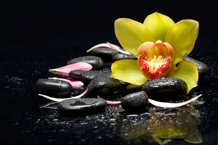 Spa Zen Stonesの写真素材