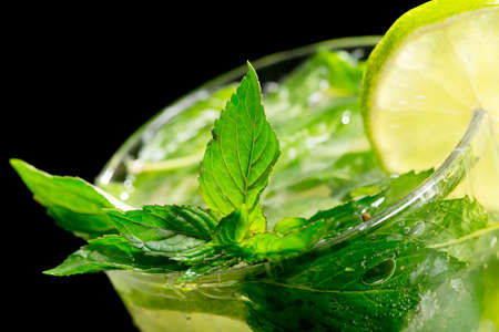 Mojito cocktail on black backgroundの写真素材