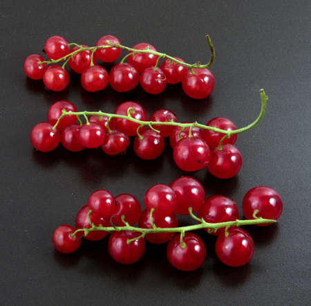 red currant on black backgroundの写真素材