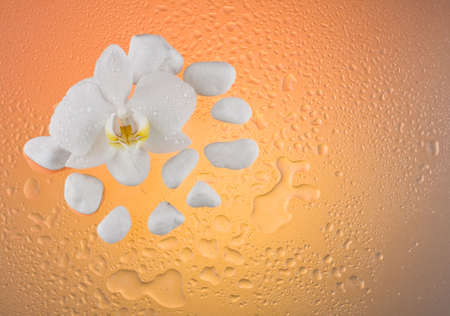 Lily flower and white stones in water drops backgroundの写真素材