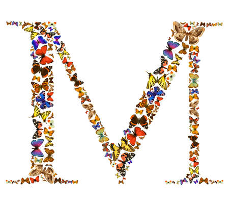Butterfly font in white. Letter Mの写真素材