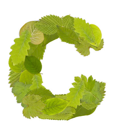 Green leaf  font in white. Letter Cの写真素材