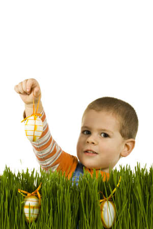 Easter egg hunt, boy searching for easter eggs hidden in fresh green grassの写真素材