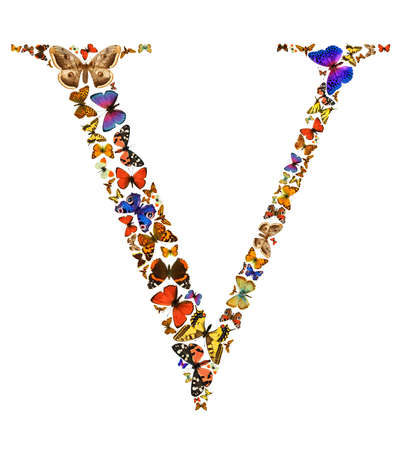 Butterfly font in white. Letter Vの写真素材