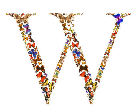 Butterfly font in white. Letter Wの写真素材