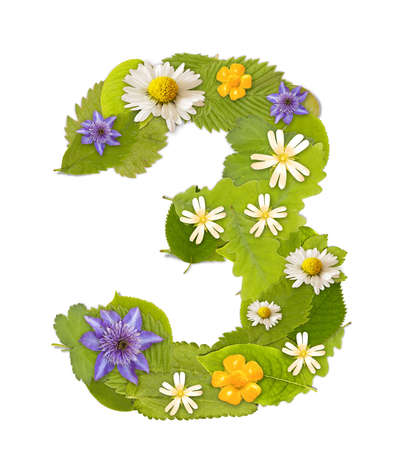Green leaf  number whit flower in white. Number 3の写真素材