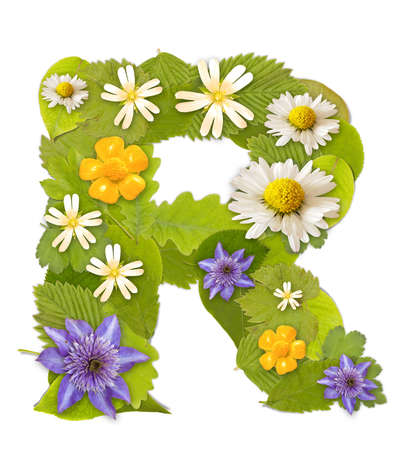 Green leaf whit flower font in white. Letter Rの写真素材