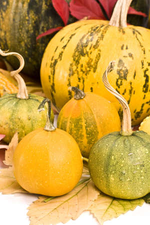 Fall leaves and pumpkins, autumn background の写真素材